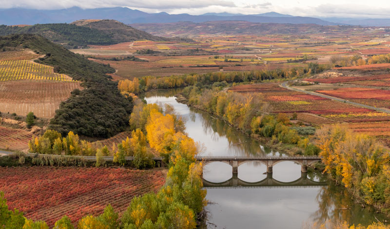 estudio-rio-ebro-hanna